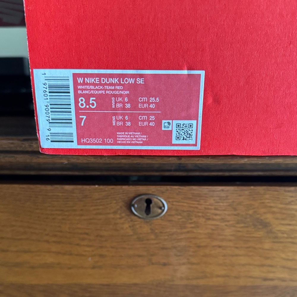 Nike Dunk Low SE in White and Black